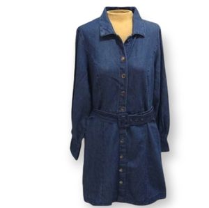 Long Sleeve Button Down Denim Dress